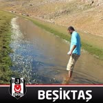 Cihan