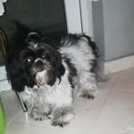 Doruk