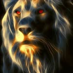 Baran