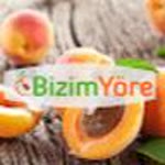 Bizim