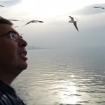 Bulent