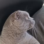Angela