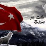 İlkay