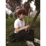 Şara