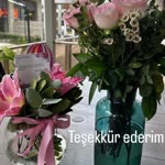 Ayşegül