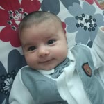 Metin