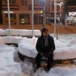 Vedat