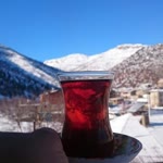 Gezginin