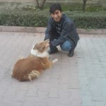 Şimdi