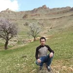 Şeyhmus