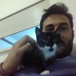 Bulut