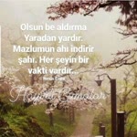 Tamer