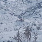 Serdar
