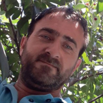 Sezgin