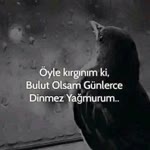 Berfin