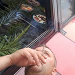 Aydın