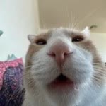 Furkan