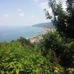 Profil fotoğrafı