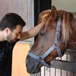 Ozan