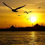 Sevcan
