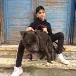 Enes