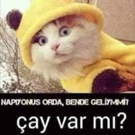 Esat