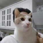 Kağan