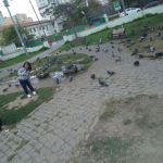 Sümeyya
