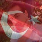 Metehan