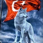 By Mehmet