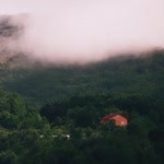 Sevil
