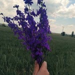 Profil fotoğrafı