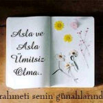 Gülçin