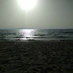 Metin