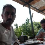 Tarık