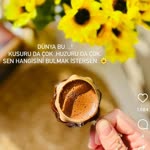 Nuriye