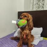 Deren