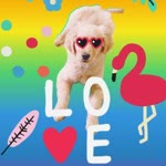 Ebru