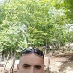 Tevfik