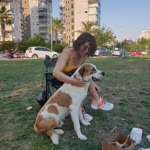 Sibel