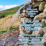 Cem