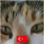 Ayşe