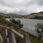 Özlem