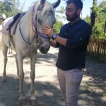 Mert