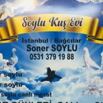 Soner