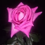 Selcan