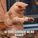 Hayrettin