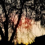 Enes