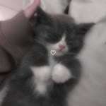Zeynep