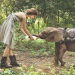 Burcu